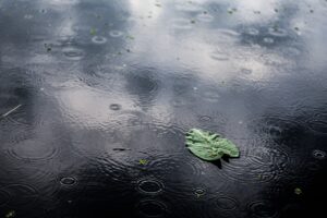 Blocked stormwater drains